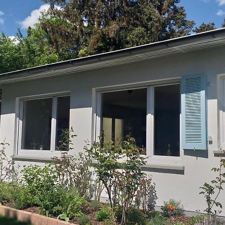 Gartenchalet Rotkehlchen Бад-Гомбург-фор-дер-Гее Екстер'єр фото